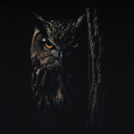 Military style T-shirt "Owlr"