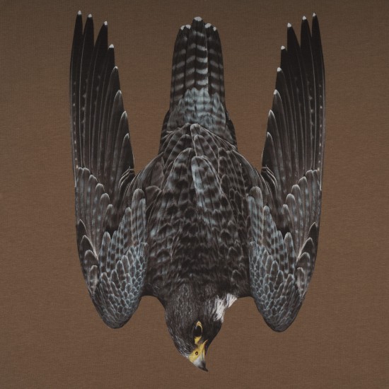 Military style T-shirt "FALCON"
